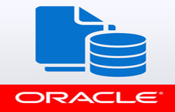 Oracle数据库管理工具有哪些?-北京MK体育·（国际）官方网站-mksport公司