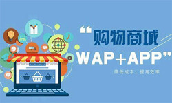 手机商城appMK体育·（国际）官方网站-mksport流程-北京MK体育·（国际）官方网站-mksport外包公司