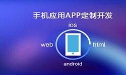 APP开发市场上常见问题分析-北京MK体育·（国际）官方网站-mksport公司